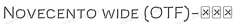 Novecento wide (OTF)字体转换